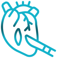 Vascular Surgery Icon
