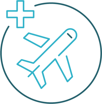 travel Icon